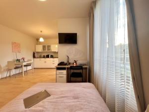 Pronájem bytu 1+kk, Praha - Břevnov, Patočkova, 38 m2