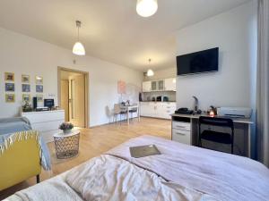 Pronájem bytu 1+kk, Praha - Břevnov, Patočkova, 38 m2