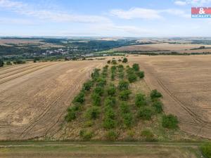Prodej pole, Kralupy nad Vltavou - Zeměchy, 5202 m2