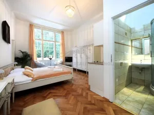 Pronájem bytu 1+kk, Praha - Josefov, Široká, 24 m2