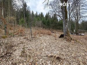 Prodej rodinného domu, Železná Ruda, 540 m2