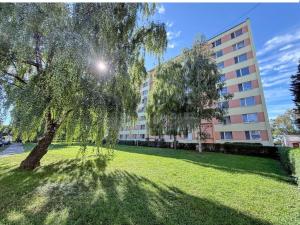 Prodej bytu 2+kk, Lovosice, Žižkova, 36 m2
