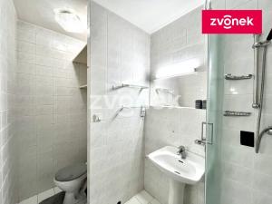 Pronájem bytu 1+kk, Zlín - Prštné, Svat. Čecha, 29 m2