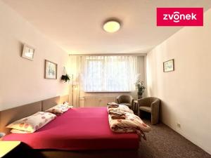 Pronájem bytu 1+kk, Zlín - Prštné, Svat. Čecha, 29 m2