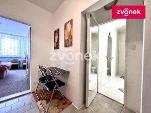 Pronájem bytu 1+kk, Zlín - Prštné, Svat. Čecha, 29 m2