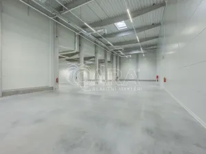 Pronájem skladu, Divišov, 2398 m2