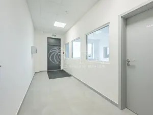 Pronájem skladu, Divišov, 2398 m2