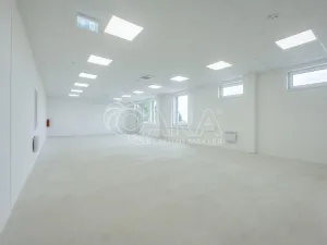 Pronájem skladu, Divišov, 2398 m2