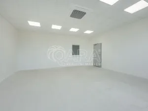 Pronájem skladu, Divišov, 2398 m2