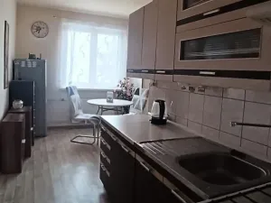 Pronájem bytu 1+1, Nejdek, Okružní, 50 m2