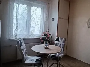 Pronájem bytu 1+1, Nejdek, Okružní, 50 m2