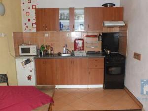 Pronájem bytu 2+kk, Plzeň, Kardinála Berana, 42 m2