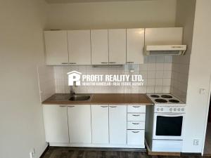 Pronájem bytu 1+kk, Beroun, Palouček, 30 m2