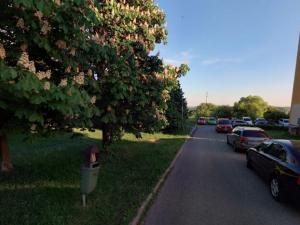 Prodej bytu 4+1, Česká Lípa, Východní, 75 m2