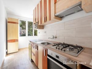 Pronájem bytu 2+kk, Praha - Kamýk, Vnoučkova, 59 m2