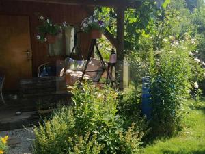 Prodej zahrady, Žlutice, Smetanova, 569 m2