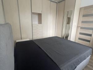 Pronájem bytu 2+1, Ostrava - Poruba, Opavská, 53 m2