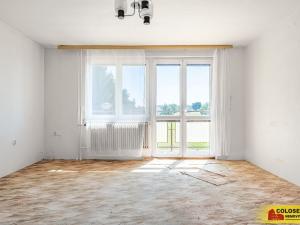 Prodej rodinného domu, Starý Petřín, 130 m2