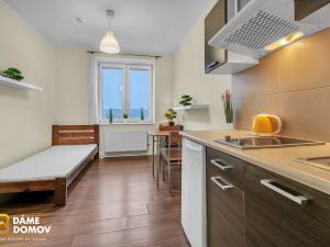 Pronájem bytu 1+kk, Zlín - Prštné, Svat. Čecha, 22 m2