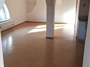 Pronájem bytu 3+kk, Plzeň - Jižní Předměstí, Raisova, 78 m2