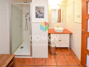 Pronájem bytu 1+kk, Chodouň, 60 m2