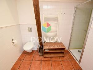 Pronájem bytu 1+kk, Chodouň, 60 m2