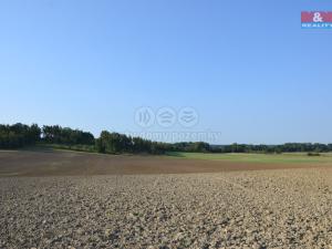 Prodej lesa, Rychnovek, 16800 m2