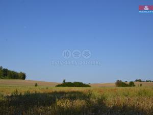 Prodej lesa, Rychnovek, 16800 m2