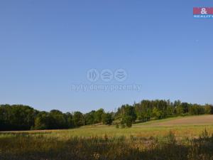 Prodej lesa, Rychnovek, 16800 m2
