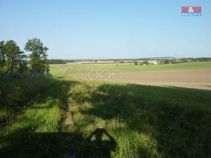 Prodej lesa, Rychnovek, 16800 m2