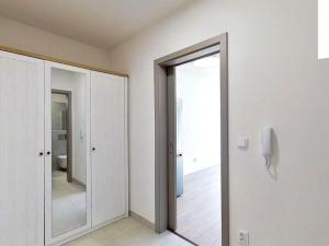 Pronájem bytu 1+kk, Pardubice, Štrossova, 42 m2