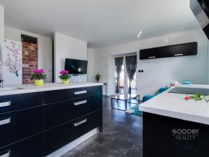 Pronájem bytu 2+kk, Vojkovice, 80 m2