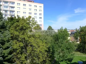 Prodej bytu 2+1, Plzeň - Doubravka, Železničářská, 70 m2