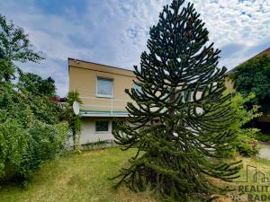 Prodej obchodního prostoru, Praha, Vačkářova, 216 m2