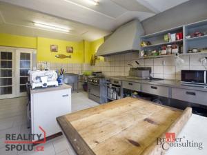 Prodej ubytování, Třebenice, Zimmerova, 332 m2