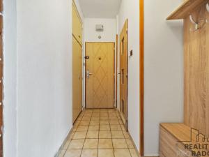 Pronájem bytu 1+1, Pardubice, Na Hrádku, 28 m2