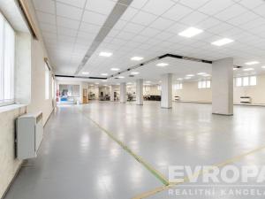 Pronájem komerční nemovitosti, Havlíčkův Brod, okres havlíčkův brod, 8000 m2