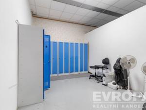 Pronájem komerční nemovitosti, Havlíčkův Brod, okres havlíčkův brod, 8000 m2