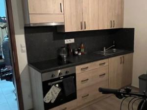 Prodej bytu 1+kk, Pardubice, Pod Vinicí, 43 m2