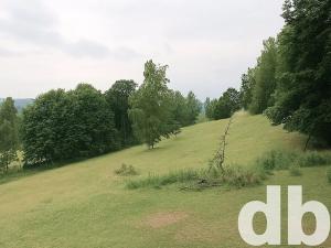 Prodej pozemku pro bydlení, Rotava, Sklenský vrch, 8667 m2