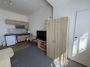 Pronájem bytu 1+kk, Brno, Bratislavská, 23 m2