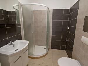 Pronájem bytu 1+kk, Horšovský Týn, Domažlická, 30 m2