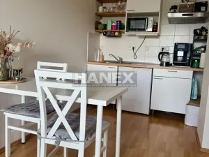 Pronájem bytu 1+kk, Praha - Břevnov, 8. listopadu, 35 m2