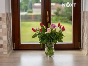 Prodej rodinného domu, Březno, 380 m2