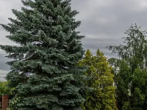 Prodej rodinného domu, Březno, 380 m2