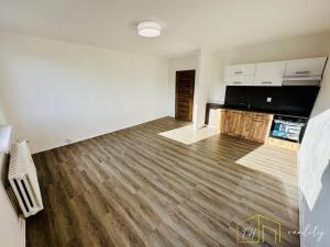 Pronájem bytu 1+kk, Dubí, K. Světlé, 36 m2