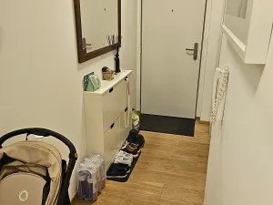 Prodej bytu 3+kk, Benešov, U Pivovaru, 65 m2