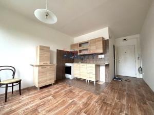 Prodej bytu 1+1, České Budějovice - České Budějovice 2, Větrná, 37 m2