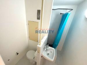 Prodej bytu 1+1, České Budějovice - České Budějovice 2, Větrná, 37 m2