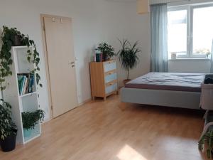 Pronájem bytu 2+kk, Olomouc, Okružní, 67 m2